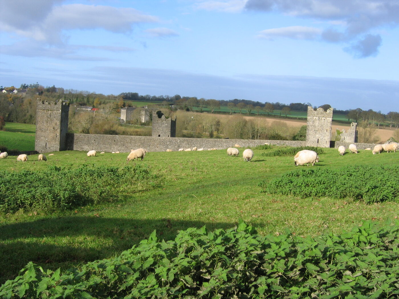The medieval walls and tower houses of Kells Priory, Co. Kilkenny