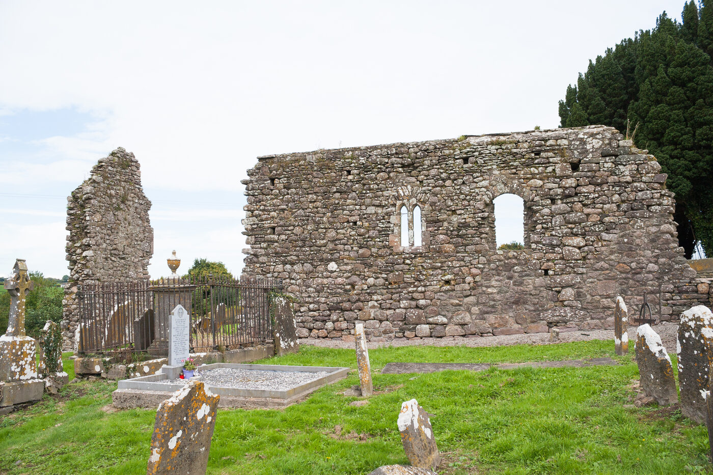 The surviving south wall of Mothel Abbey, Co. Waterford